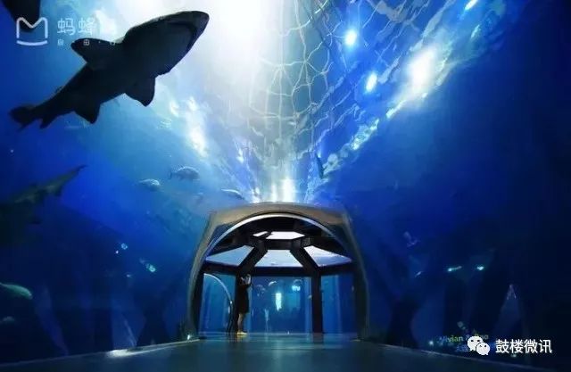 11月份特价机票哪里最便宜,南京秋天飞哪里机票便宜