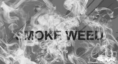 混文凭、吸*麻大**、泡洋妞？我出国留学，不是为了被黑成这样的