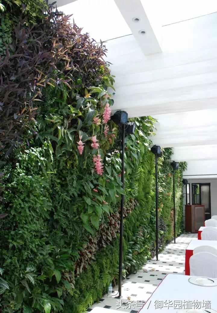 他曾说过：每一面植物墙都是一个花园……