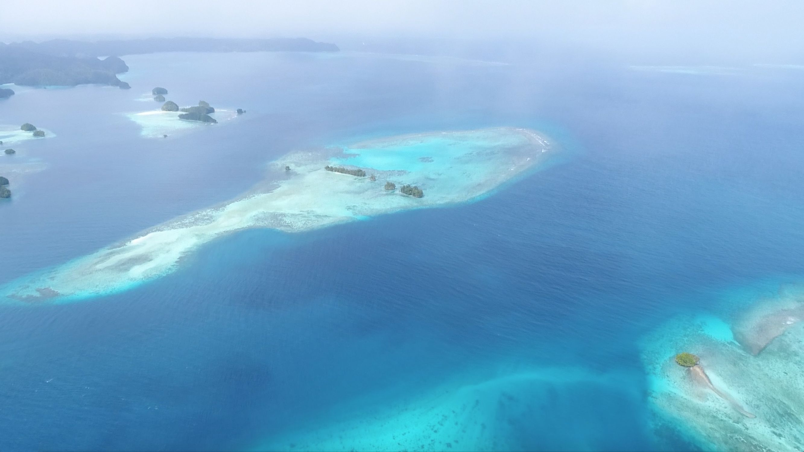 中国护照落地签或者免签的国家,中国免签和落地签国家数量2024