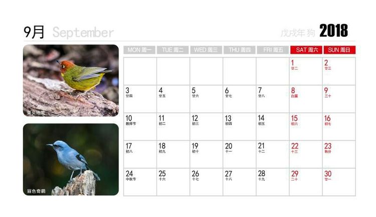 2018年鸟趣日历,太精美了,人手一份,值得收藏!
