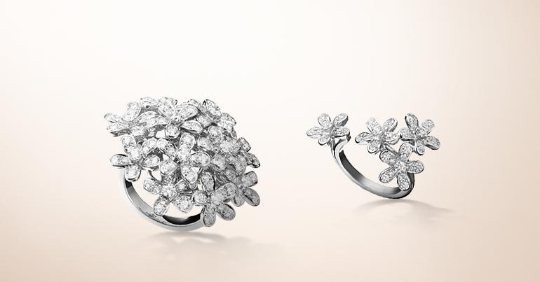 梵克雅宝2015高级珠宝系列,vca梵克雅宝中号是黄金的吗