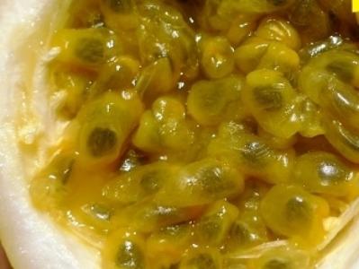 黄金百香果怎么判断已经成熟,百香果和黄金百香果哪个更好