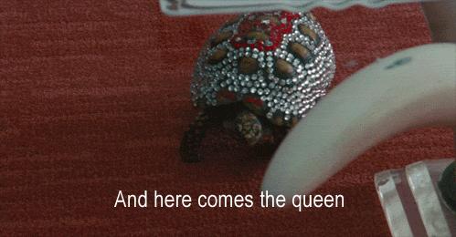 澶ц劯鐚殑鐑︽伡,澶ц劯鐚殑鐑︽伡瑙h