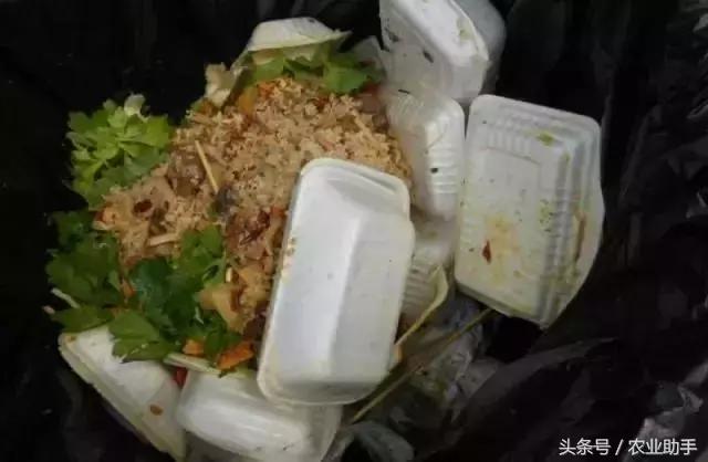 深度解析有机食品,深度解析腐植酸