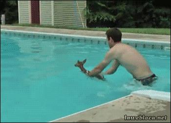 澶ц劯鐚殑鐑︽伡,澶ц劯鐚殑鐑︽伡瑙h