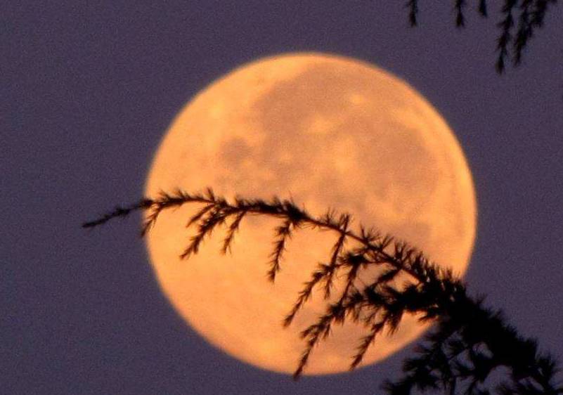 秦玉彦为君十赋全文,为君十赋鹧鸪天新韵