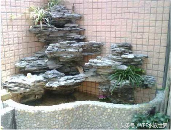 鱼缸升级最好的方法,新手鱼缸如何升级