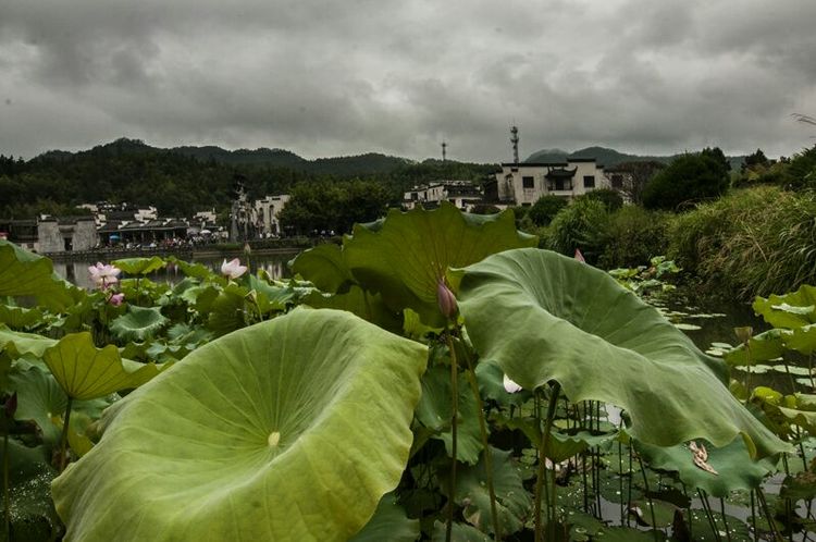 西递附近最著名的景点,西递村美丽的风景