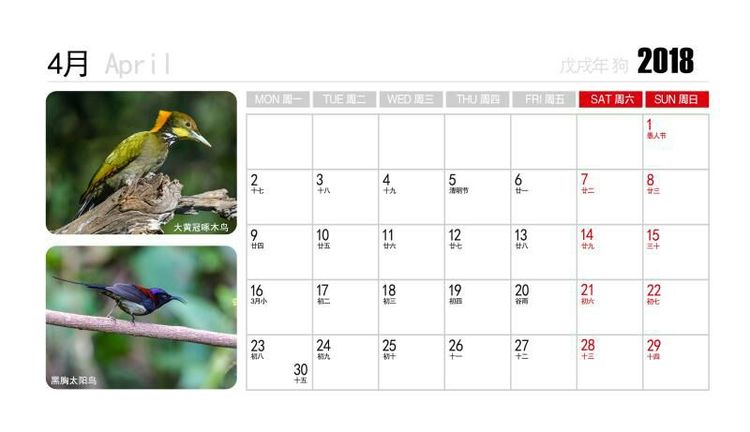 2018年鸟趣日历,太精美了,人手一份,值得收藏!
