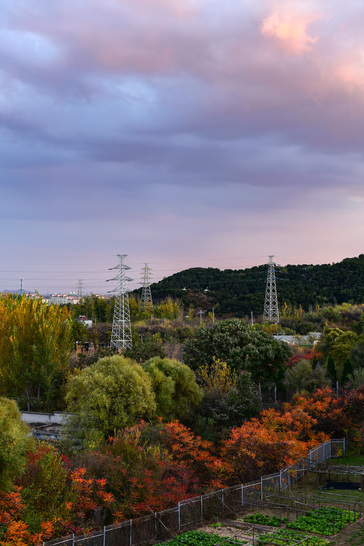 一场完美的绝地反击,尼康d850各镜头测评