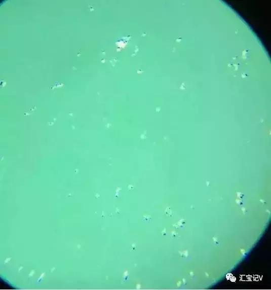 紫罗兰琥珀蜜蜡真假,蜜蜡琥珀手串真假鉴别