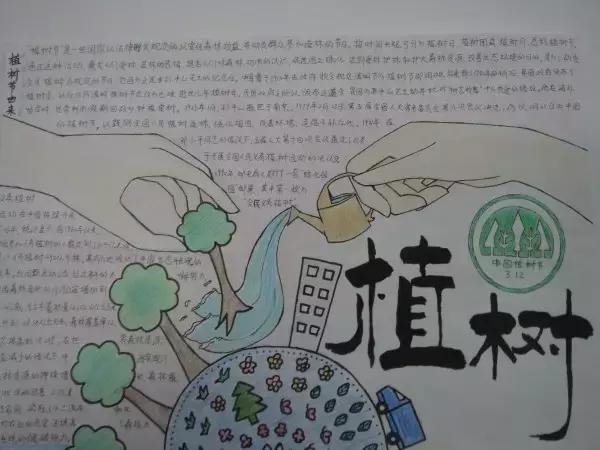 帮爸妈做家务手抄报简单漂亮,爸妈的手抄报