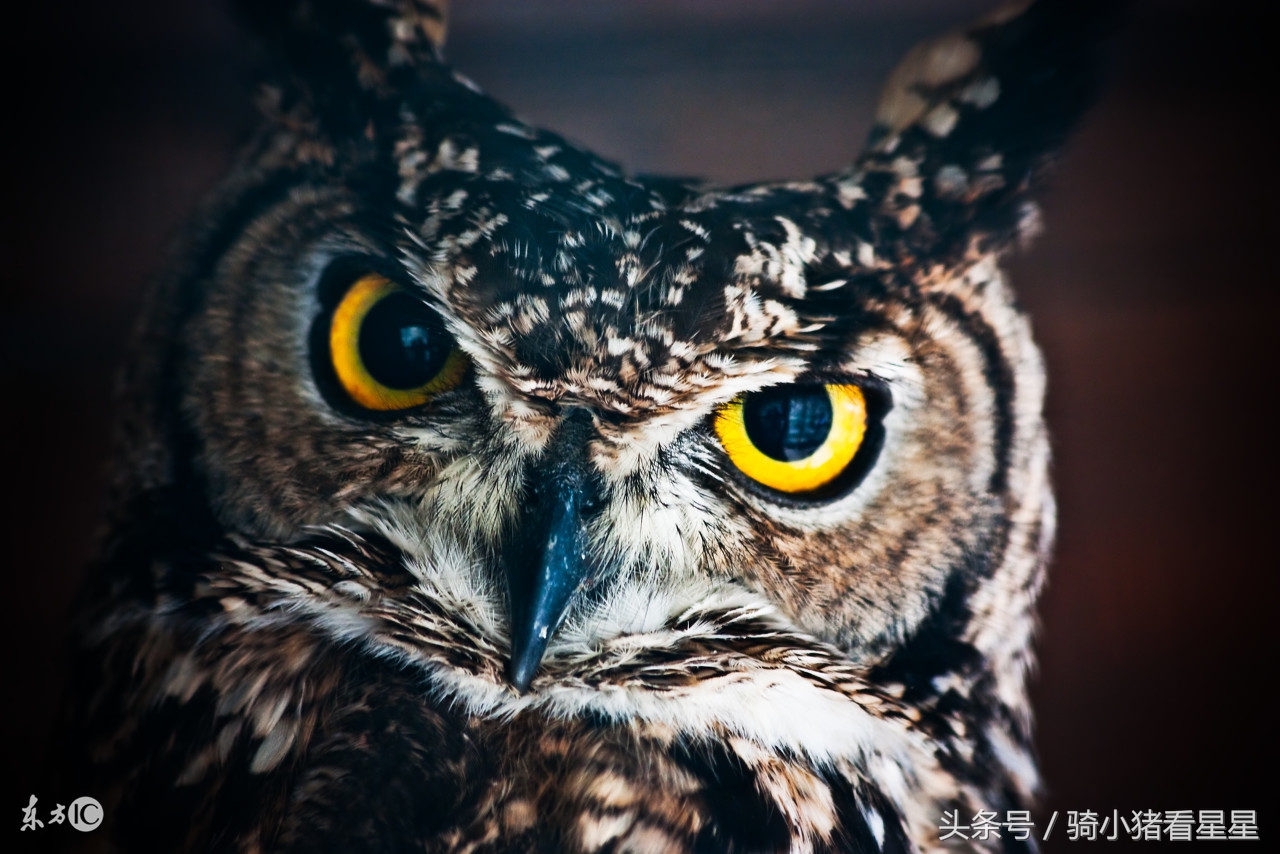 很有意思的心理测试,有趣的性格测试