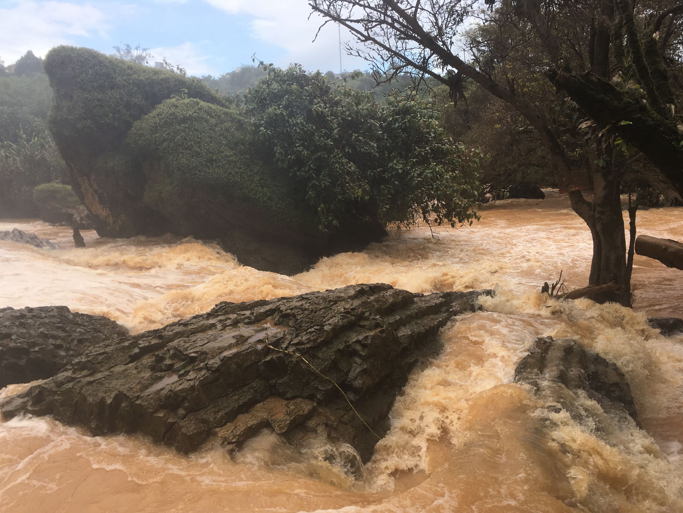 分享越南旅游攻略,越南大叻网红景点