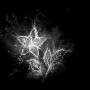 帅气黑白头像,黑白后脑勺图