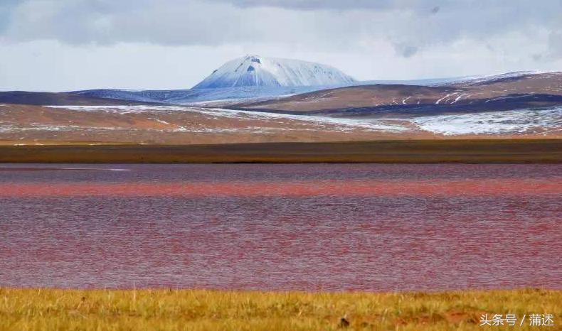 一个人的羌塘,一个人的羌塘无人区