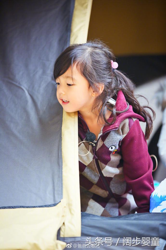 爸爸5jasper小泡芙,刘畊宏女儿泡芙和嗯哼陈小春