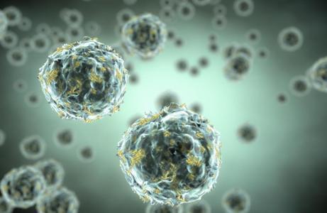 贴身衣物细菌,衣物上的细菌要多少度才能去除