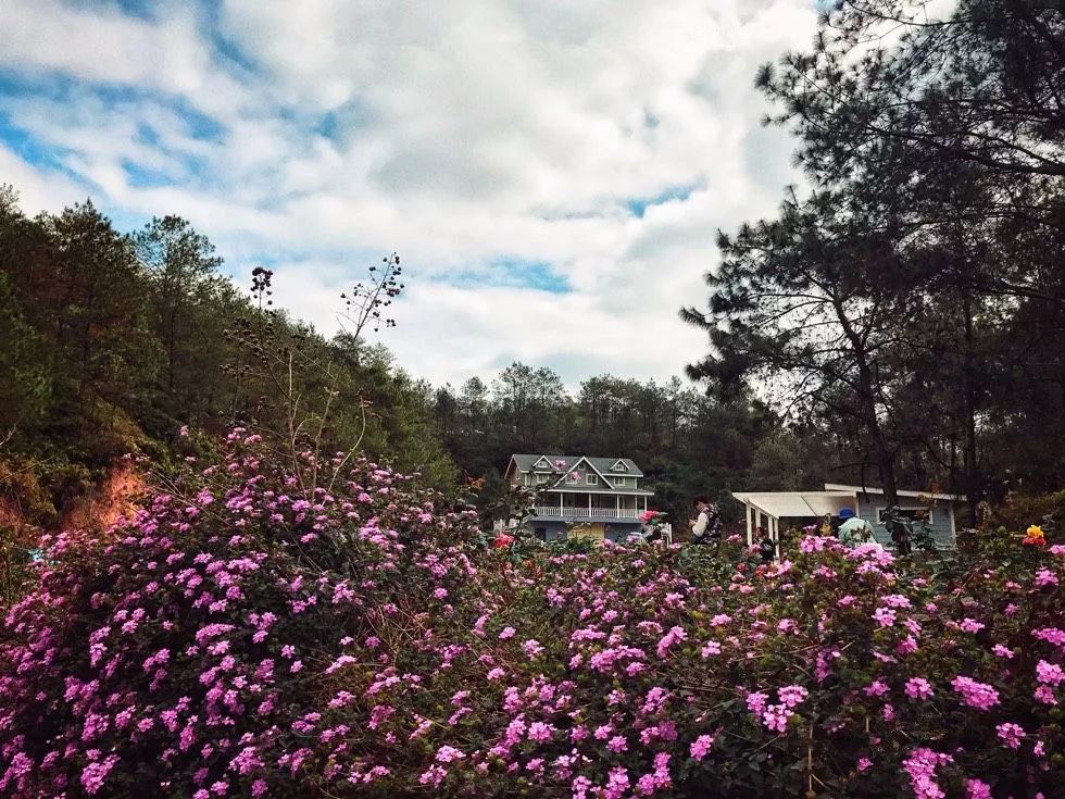 我可能是个假潮汕人图片,梅州人真的假的
