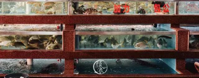 舒海滙——源*大海于**的恩赐源于对品味的追求