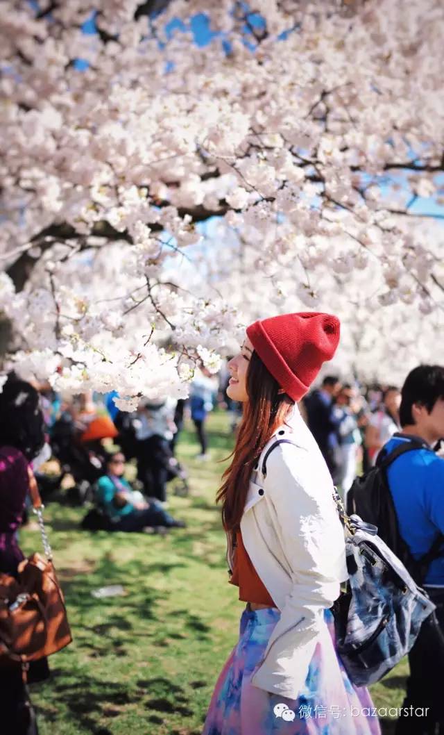 胡歌江疏影分手后的第一次合作,胡歌与江疏影分手后首次同台