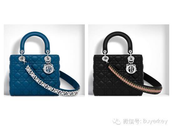 Dior 2016新款包包一个比一个美，都可以买到了！