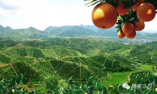 赣州18个县经济排名,赣州市各县市经济排名