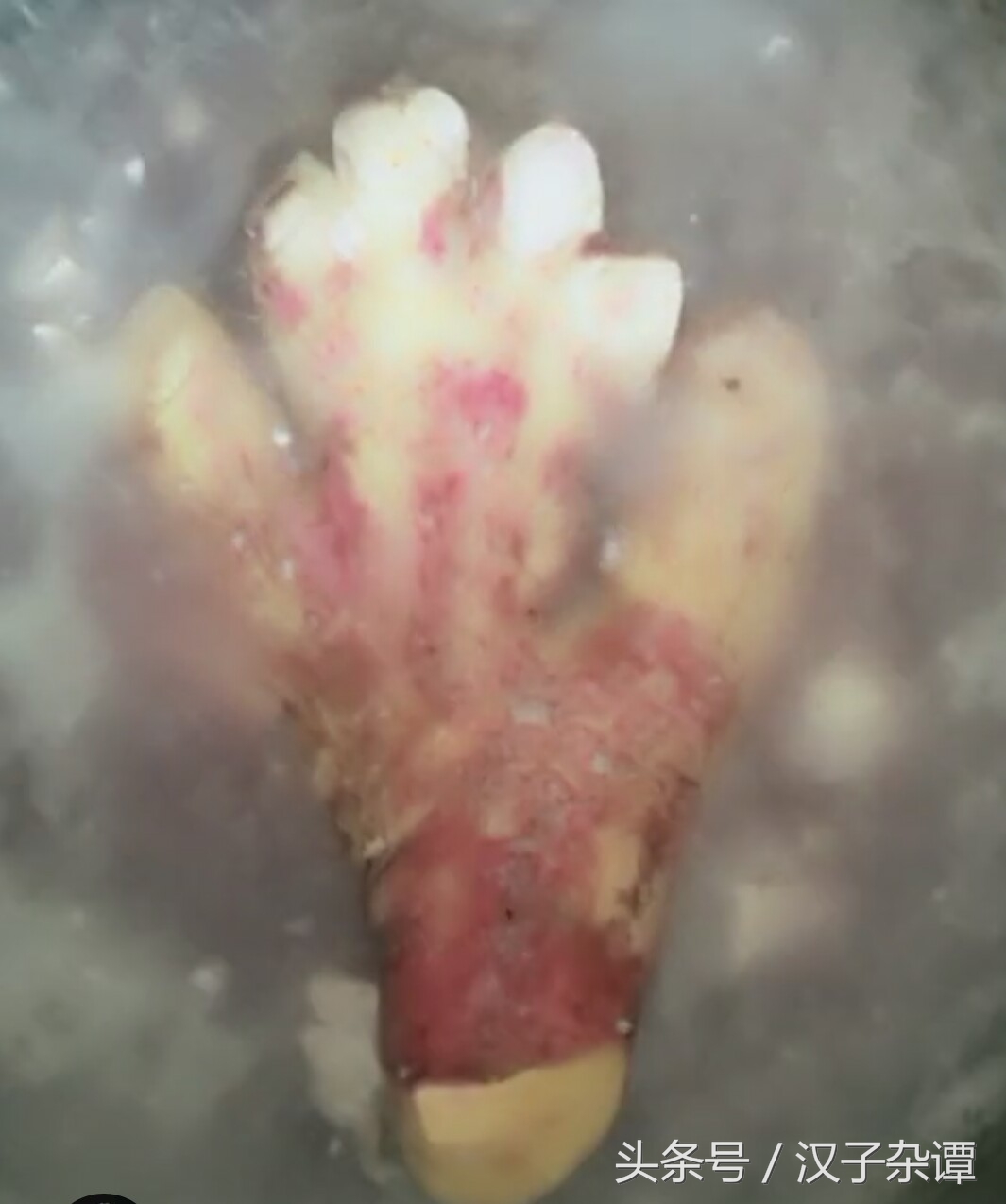 看似熊掌，实则佛掌，形象到不忍心下筷