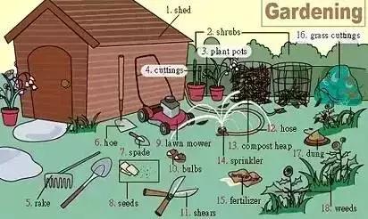 最常用的英语单词汇总表,史上最全英语词汇图