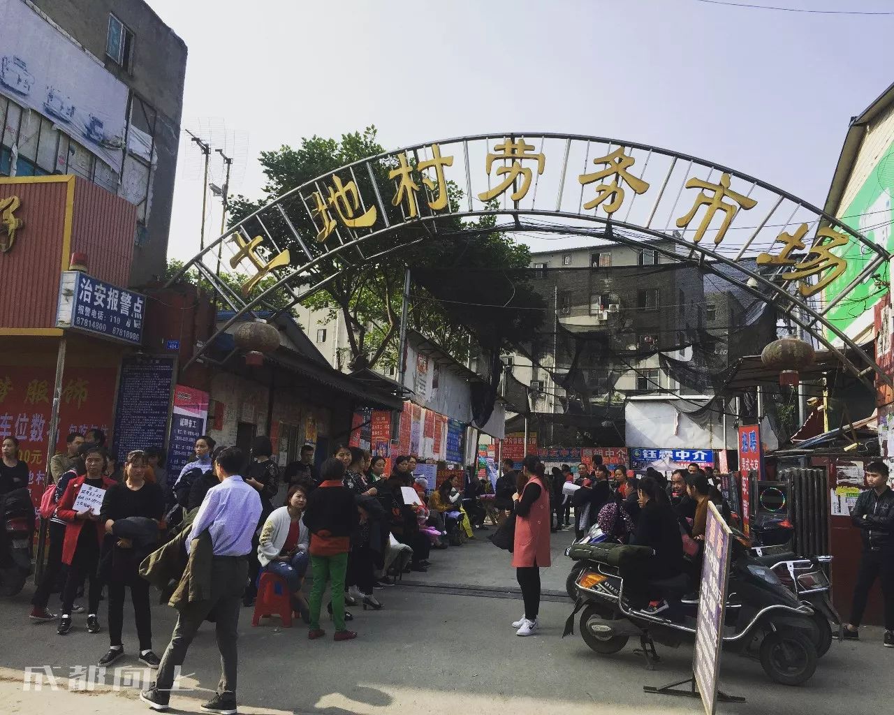 成都郫都区哪里好找工作,淘宝村月入百万