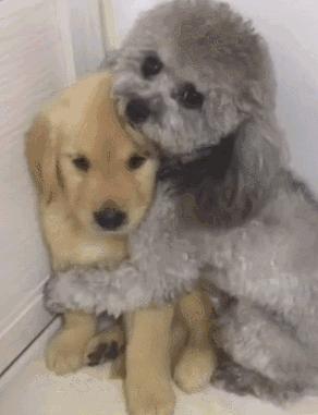 老婆疯狂网购老公忍无可忍发火,140万刷爆17张卡完整版