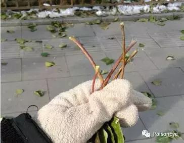 传承中华北京布鞋文化,传承老北京布鞋