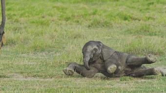 这34个间谍，每天只干一件事：*窥偷**！还拍成电影全球上映？