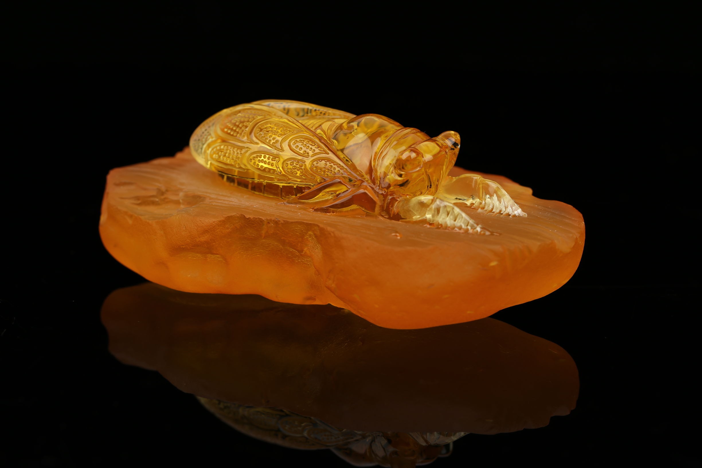 各种琥珀蜜蜡的卖点,带你欣赏不一样的琥珀蜜蜡