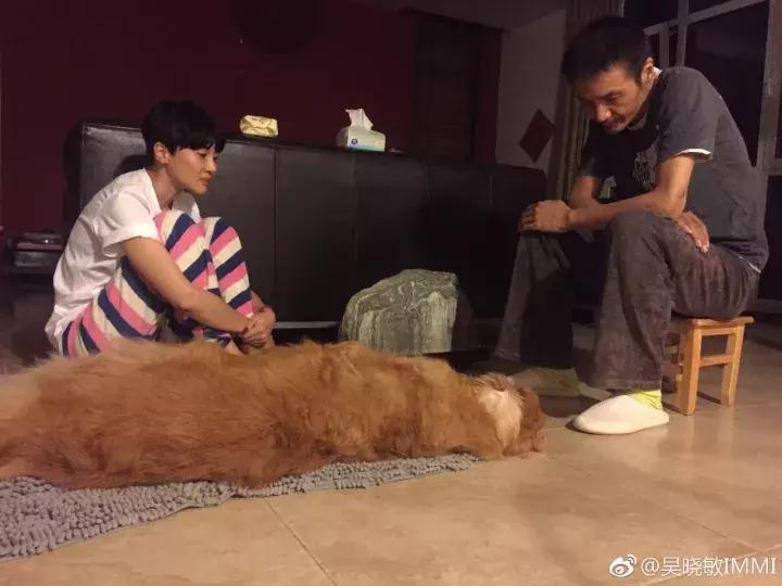 朴树好好的歌词,朴树好好的