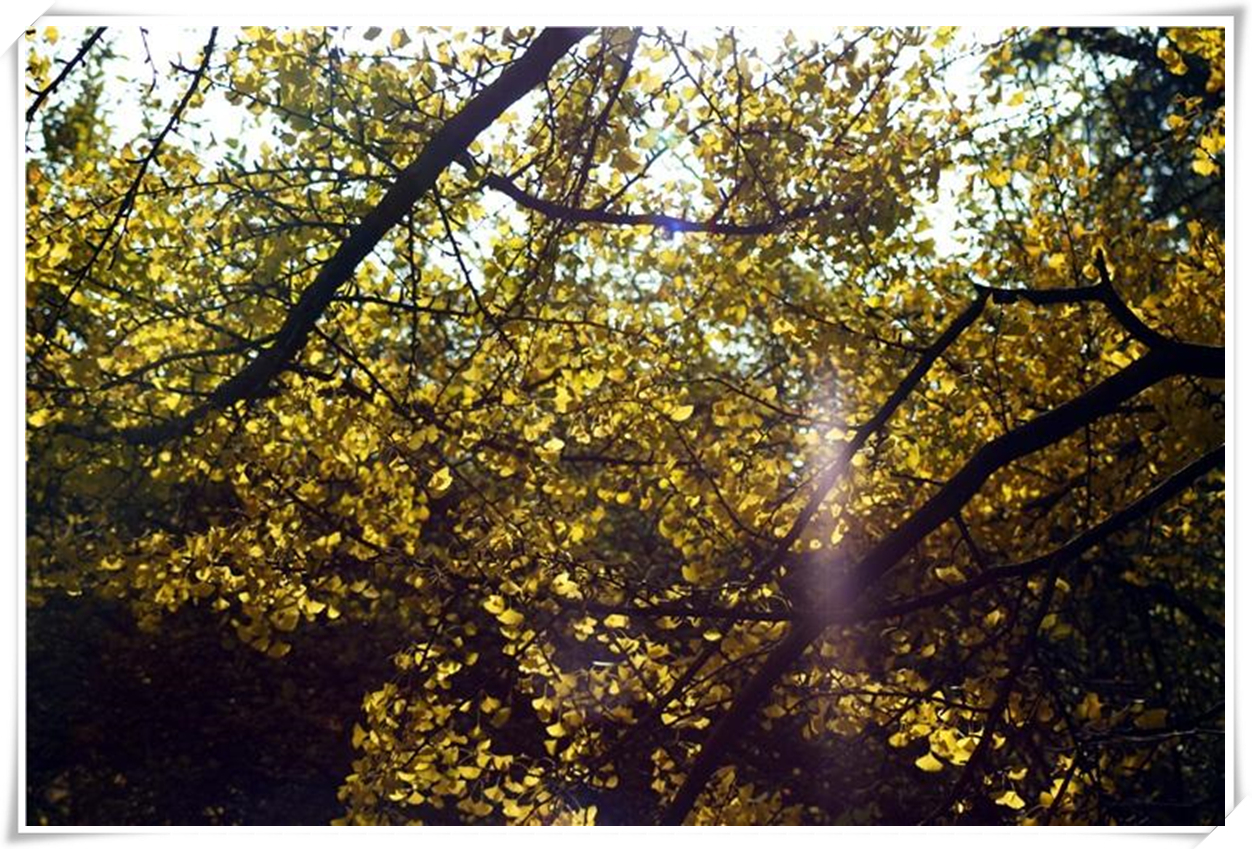 科普天空为什么是蓝色,关于天空的科普短视频