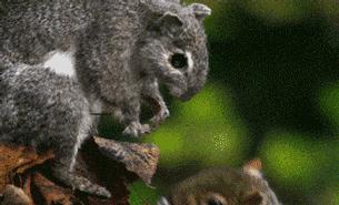 这34个间谍，每天只干一件事：*窥偷**！还拍成电影全球上映？