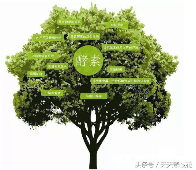 鍏ㄧ悆閰电礌鍏荤敓鐭ヨ瘑,鍏ㄧ悆閰电礌浜т笟