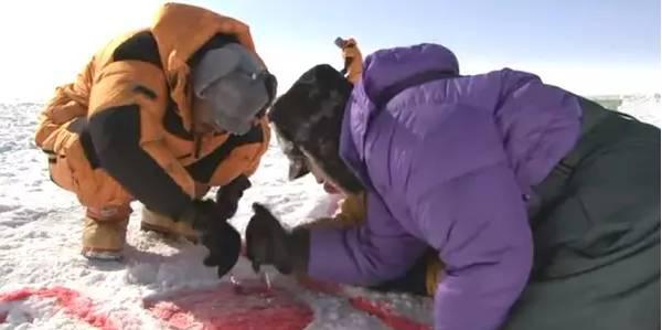 不帅的大叔,不帅但有魅力的大叔