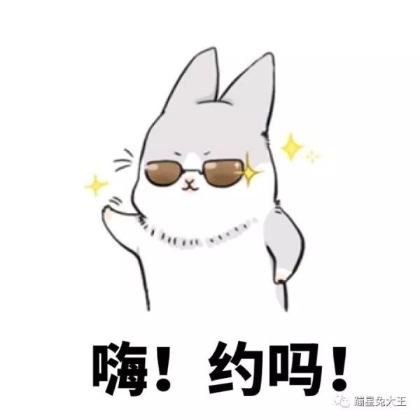 养一只兔子需要做什么,养只兔子做宠物