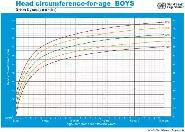 米博士教育观察记｜第3期：儿童成长发育图