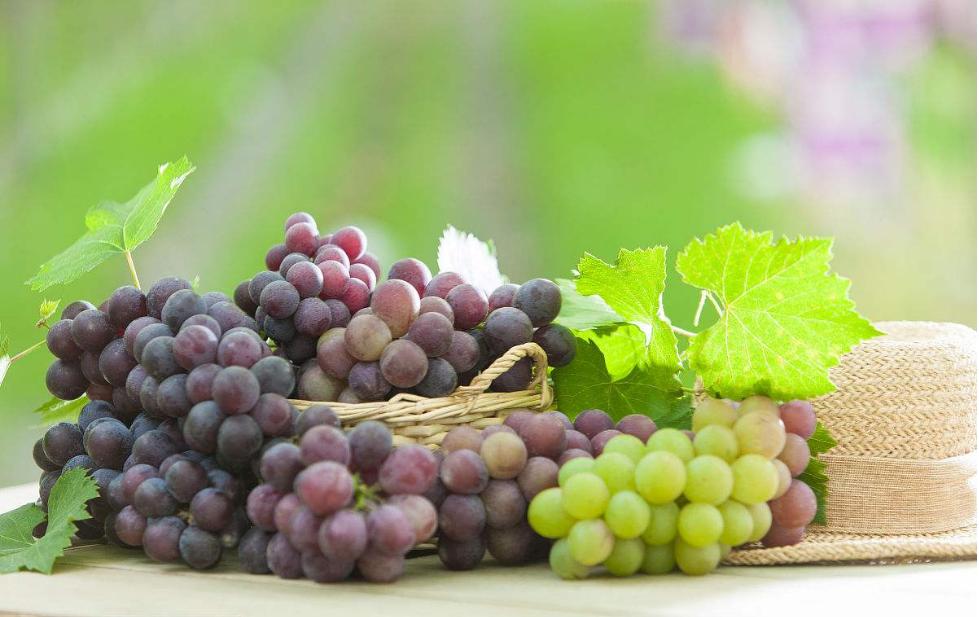 喝酒醒酒口诀大全,怎样喝酒不易醉牢记3个口诀