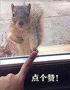 男生什么样的身材显高,腿短男生穿什么显高