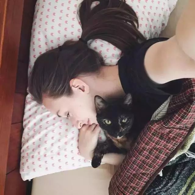 玳瑁猫最丑的猫,玳瑁猫长得好凶