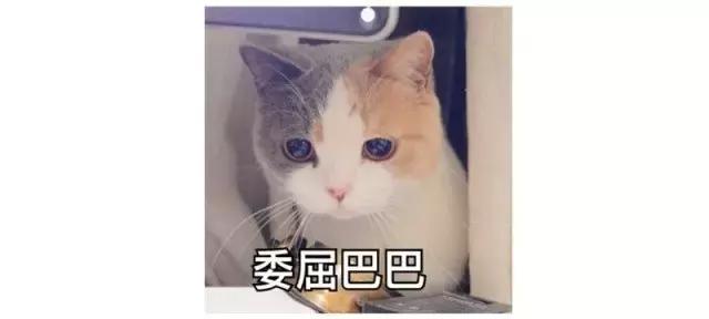 化妆棉秒杀试用,淘宝月销3000单