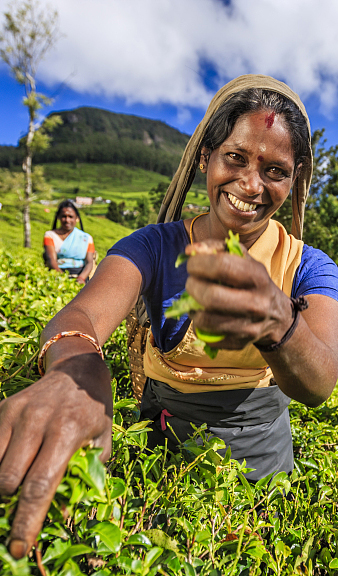 适合一个人旅行的国家不需要签证,实用贴收藏价值