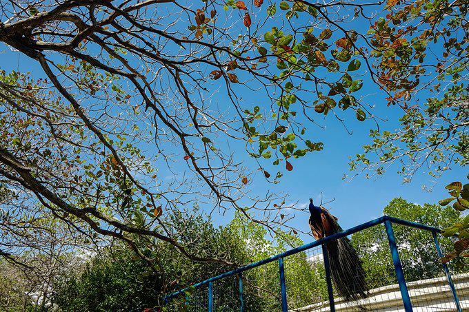 带父母去三亚游玩攻略,爸妈三亚旅游攻略