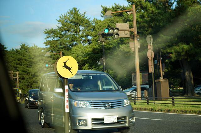 日本关西夏日赏——今夕传媒旅行家出品