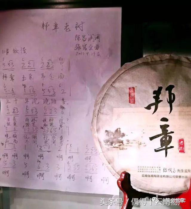 做茶的艰辛只有做茶人懂,资深茶人种茶做茶30年了